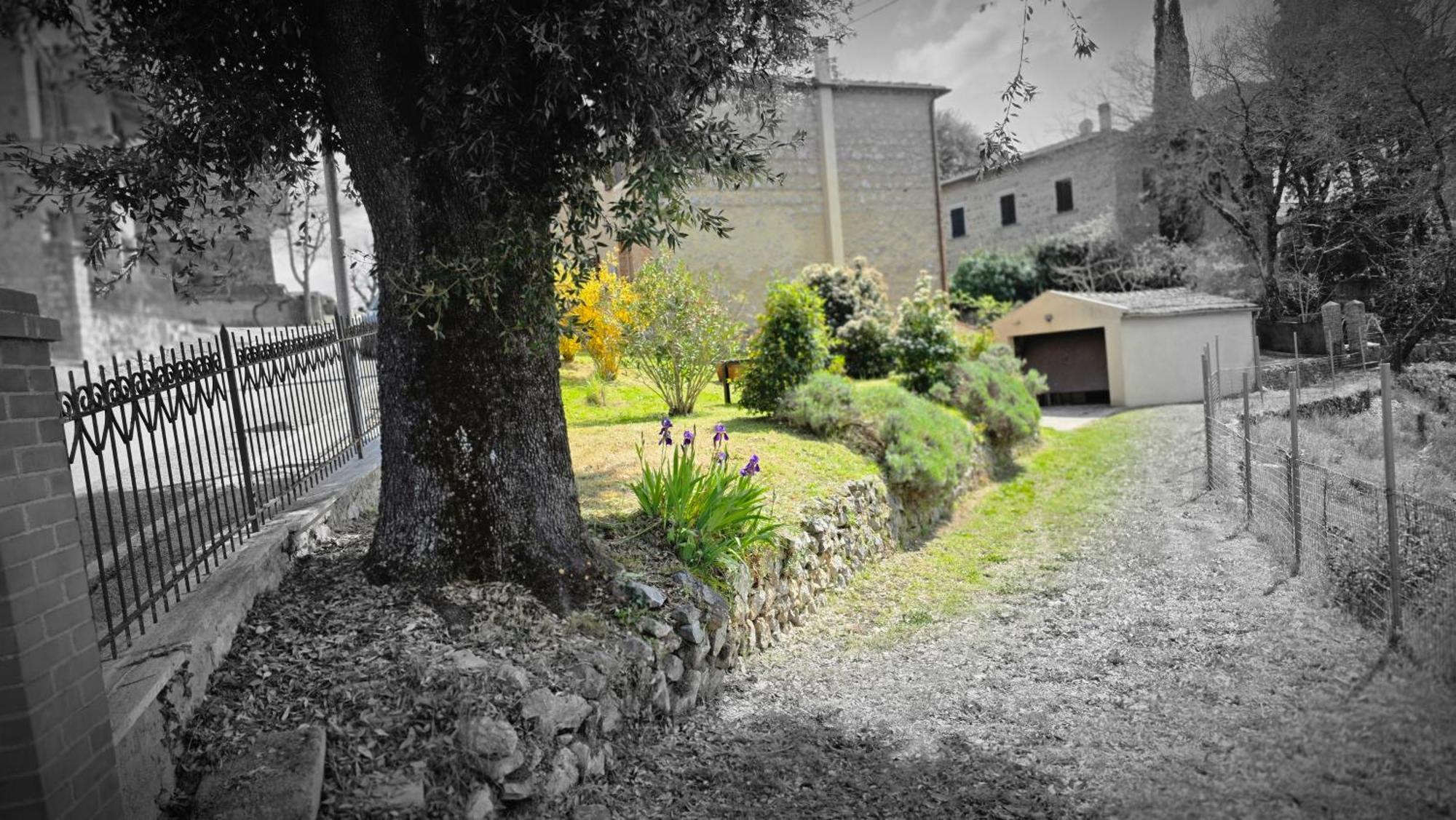 A Casa Di Gabri Βίλα Montefollonico Εξωτερικό φωτογραφία